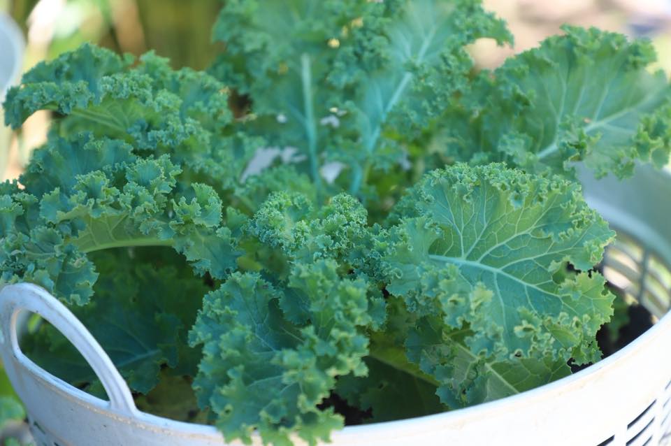 title - เลขาฯ ส.ป.ก. พร้อมคณะ ร่วมลงพื้นที่ติดตามคณะ รมช.กษ. ตรวจราชการ ณ ตำบลอ่าวลึก